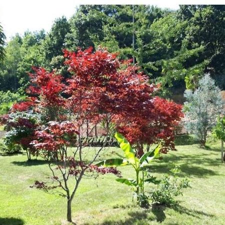 Apartmán Istanti - Menta Costigliole Saluzzo Exteriér fotografie