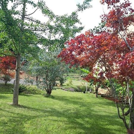 Apartmán Istanti - Menta Costigliole Saluzzo Exteriér fotografie