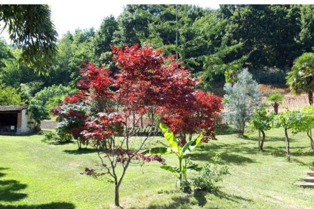 Apartmán Istanti - Menta Costigliole Saluzzo Exteriér fotografie