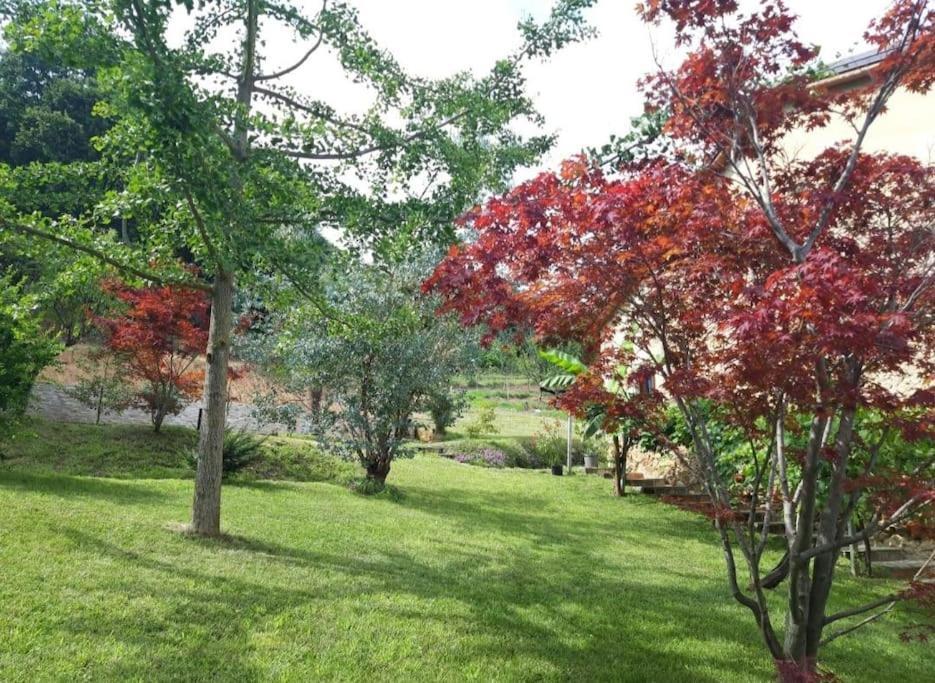 Apartmán Istanti - Menta Costigliole Saluzzo Exteriér fotografie